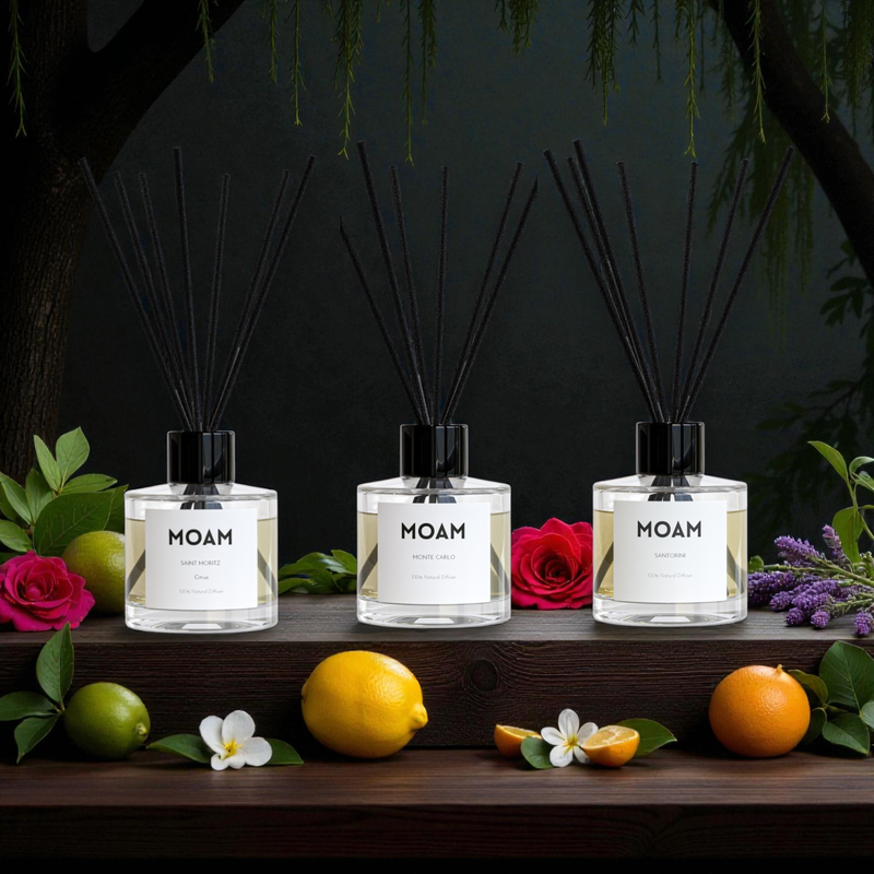 Seasonal Escape: Natural Aromatherapy Diffuser Set for Calm, Clarity & Comfort