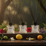 Winter Experience: Natural Aromatherapy Diffuser Set for Calm, Clarity & Comfort