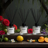 Winter Experience: Natural Aromatherapy Diffuser Set for Calm, Clarity & Comfort