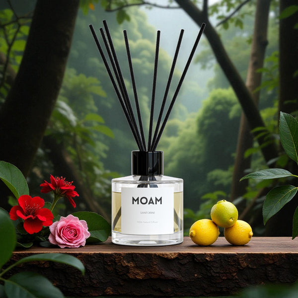 All Natural Reed Diffuser - SANTORINI