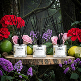 Seasonal Escape: Spring Aromatherapy Diffuser Collection